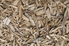 biomass boilers Llanbedr